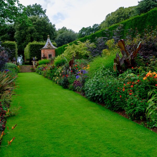 Garden path between colourful borders and clipped hedges