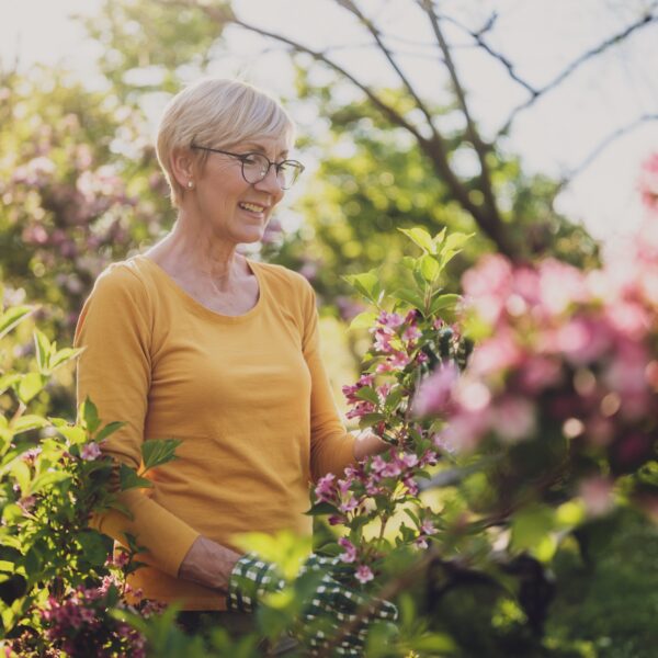 Gardener inspecting flowering plants in a garden