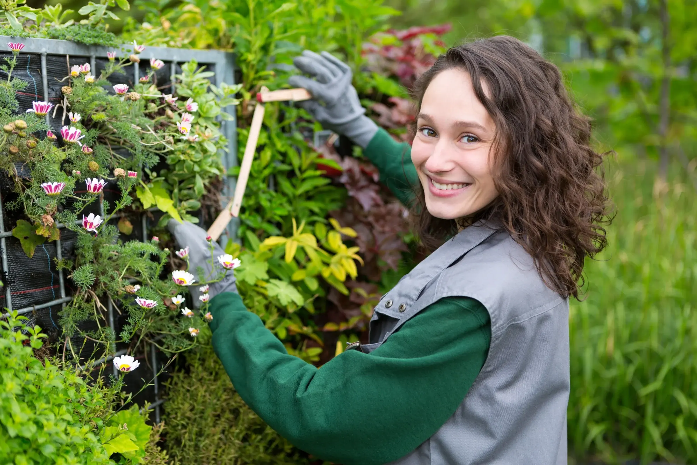 Gardener tending plants in a planted wall