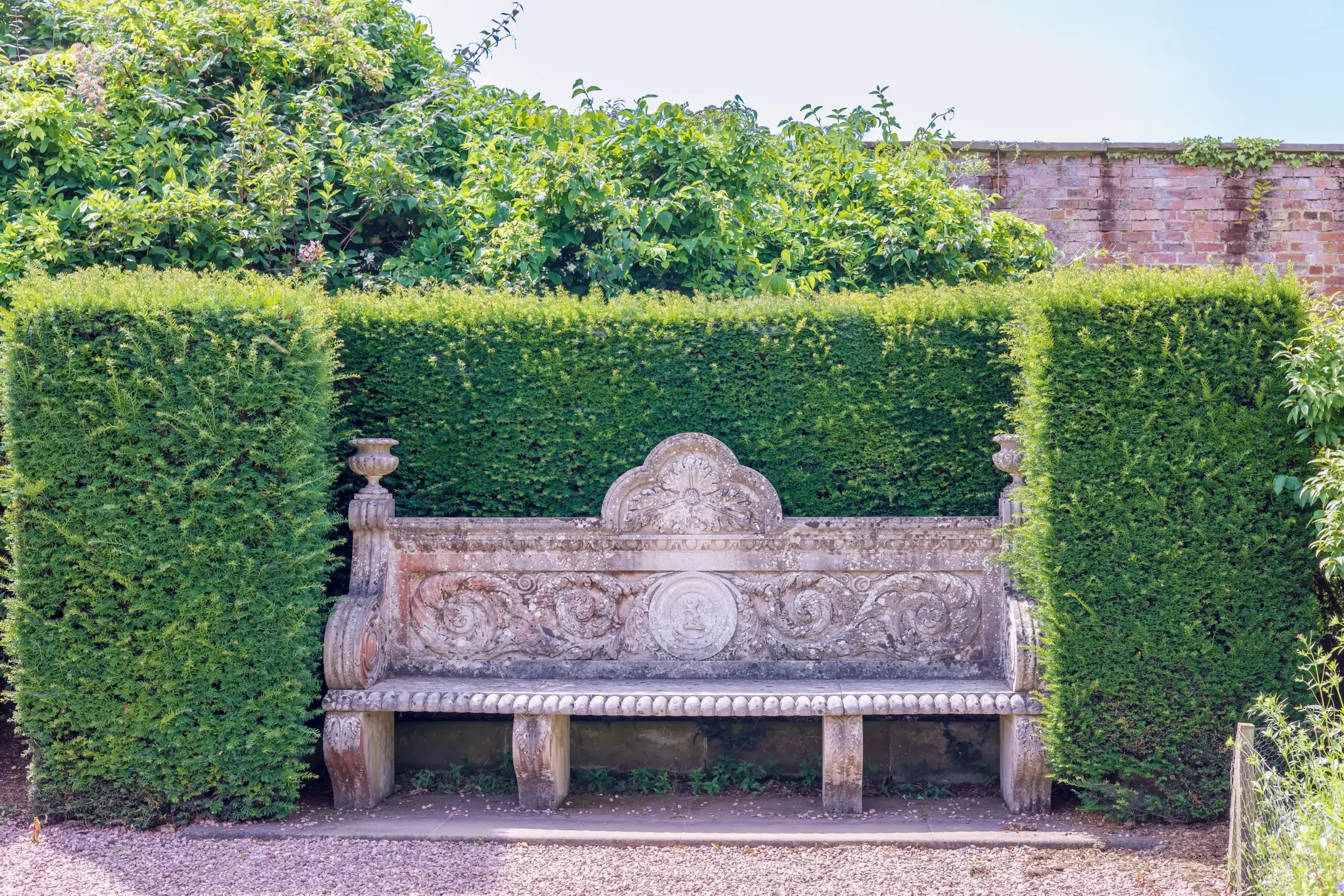 Clipped evergreen hedges surrounding a garden seat