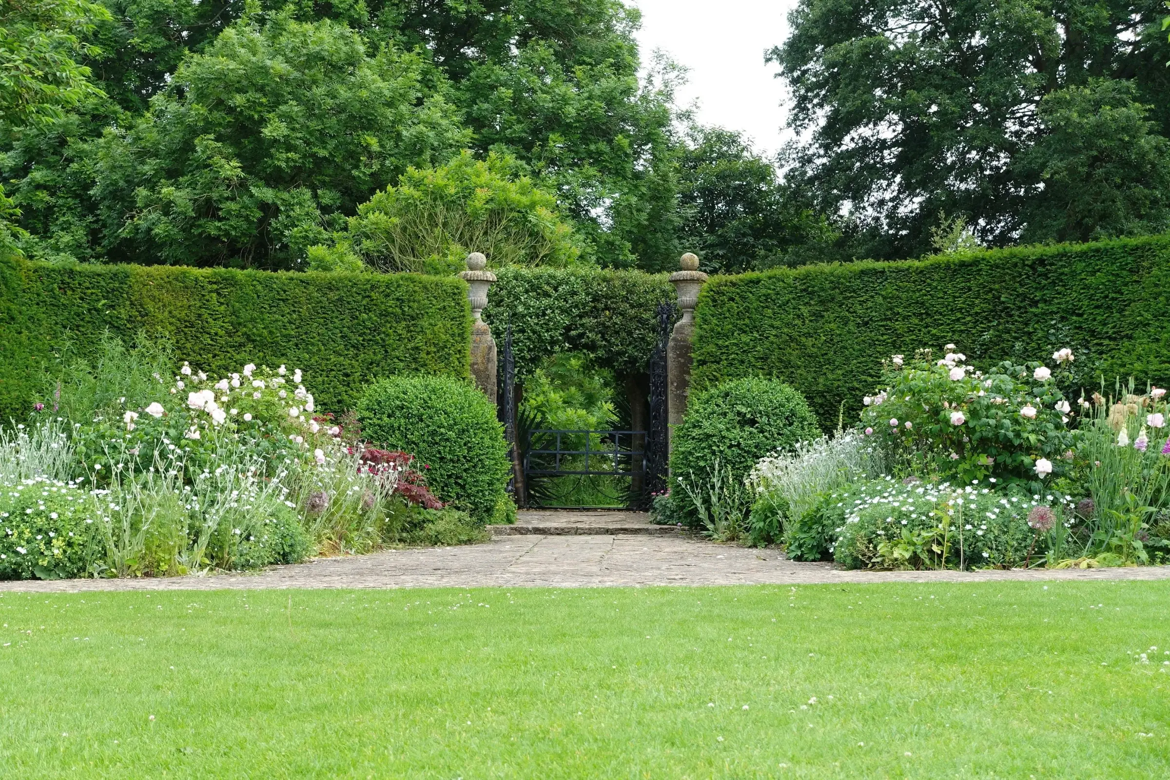 Clipped garden hedges framing a gate and flowering borders